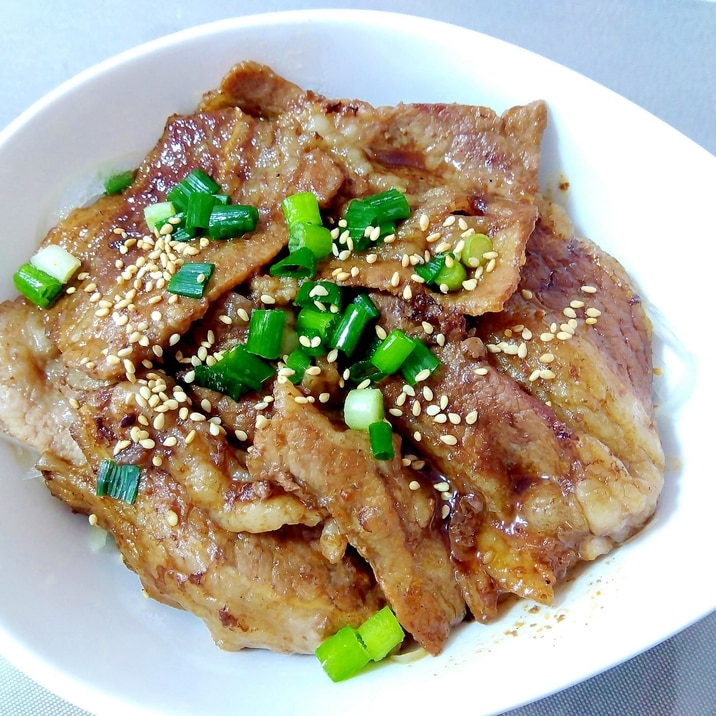 焼肉丼++
